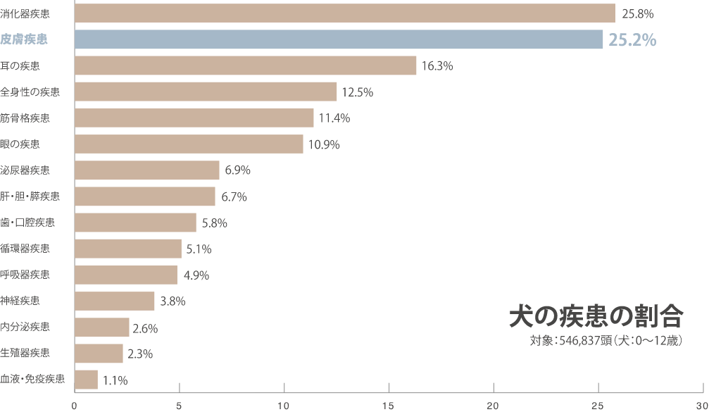 犬の疾患の割合